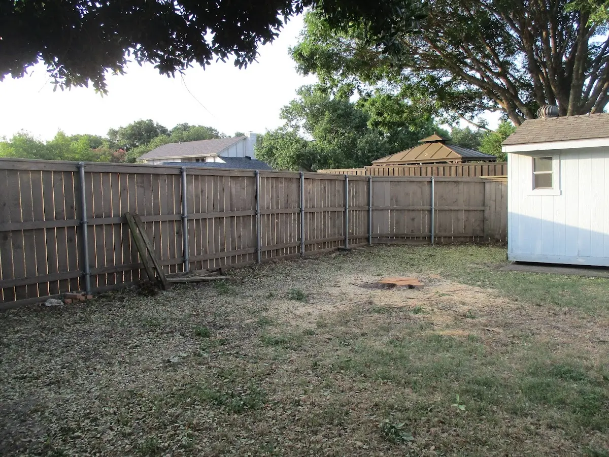 Cleared yard after professional tree removal in Toccopola